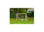 Home Goal Classic Micro
