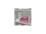 Leitz WOW Briefkorb Duo Colour Pink