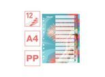 Esselte Colour'Breeze A4 Register 12 Taben, PP