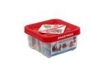 Smartmax Build and Learn Educational Set 100 pcs