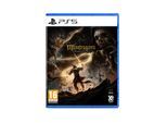 Mandragora: Whispers of the Witch Tree (Collector's Edition) - Sony PlayStation 5 - Plattform - PEGI 16