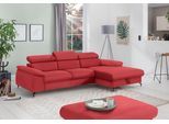 Ecksofa COTTA "Kitty L-Form, B: 242 cm", rot, B:244cm H:72cm T:166cm, Microfaser (100% Polyester);Flachgewebe (100% Polyester), Sofas, Ecksofa, mit Kopfteilverstellung, optional Bettfunktion & Bettkasten