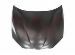 VAN WEZEL Motorhaube 0678660 für BMW 41002993151