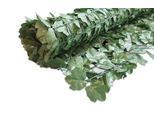 Sichtschutzzug WINDHAGER "Ahorn 1", grün, B:300cm H:150cm, Sichtschutzzüge, Sichtschutzzug, Natürlich wirkende Sichtschutz-Matte im Ahorn-Look.