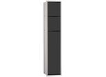 Emco Asis 150 Unterputz-WC-Modul 975027550 aluminium/schwarz, 809 mm