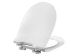 Pressalit Projecta D Solid Pro WC-Sitz 1002011-DG4925 weiß polygiene, mit Deckel, Standard, Kombi-Scharnier DG4, Edelstahl