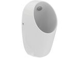 Ideal Standard i.life A Absauge-Urinal E253701 ohne Spülrand, Zulauf hinten verdeckt, 31,5 x 30 x 64 cm