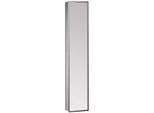 Emco Asis Modul 300 Schrankmodul 972028013 chrom/spiegel, mit Spiegeltür, Unterputzmodell