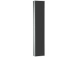 Emco Asis Modul 300 Schrankmodul 972027513 aluminium/schwarz, 1 Tür, Unterputzmodell