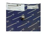 Wolf Bypassventil 250mbar 207070699 für CGG