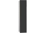 Emco Asis module 2.0 Unterputz-WC-Modul 975427553 170 x 811 mm, Anschlag links, durchgehende Tür, schwarz