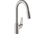 hansgrohe Focus M42 Küchenarmatur 220 2jet 71800800 mit Ausziehbrause, Schwenkbereich 360°, edelstahl-optik