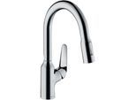 hansgrohe Focus M42 180 2jet Küchenarmatur 71801000 mit Ausziehbrause, Schwenkbereich 360°, chrom
