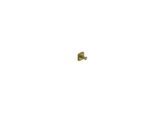 Kludi VELA S Haken 25984N0 Brushed Gold