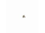 Kludi VELA S Haken 25984N5 Stainless Brushed Nickel PVD