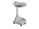 Abfallsammler 120 L HACCP, hellgrau