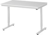 Rau ESD-Arbeitstisch Adlatus, elektrisch höhenverstellbar, 28 mm Spanplatte mit Melaminbelag, bis 150 kg, B 1250 x T 800 x H 720-1120 mm, lichtgrau