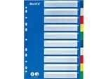 LEITZ® PP-Register mit blauem Deckblatt, blanko