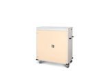 Laptopwagen mit Ladefunktion, 2-Punkt-Verriegelung, CH-Stecker, Feststellbremse, 30 Fächer, B 1310 x T 500 x H 1250, hellelfenbein