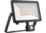 DOTLUX LED-Strahler FLOORslim-sensor 50W 4000K mit PIR-Bewegungsmelder, schwarz
