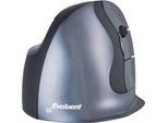 Vertikalmaus BakkerElkhuizen Evoluent D, ergonomisch, USB, 5 Tasten inkl. Scrollrad, verchromt