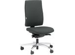 Steifensand Bürostuhl CETO CT2450, Synchronmechanik, ohne Armlehnen, Membransitz, ohne Nackenstütze, grau
