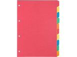 Kartonregister Schäfer Shop Select, 1er Pack, 4-fach Lochung, 160 g/qm Recyclingkarton, 10-teilig