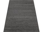 Schmutzfangmatte EAZYCARE, 1200 x 1800 mm, grau