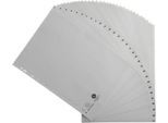 Register Exacompta 1931E, Format A4, Universallochung, Taben 1-31, B 225 x H 297 mm, Blauer Engel, Recycling-Kunststoff, grau