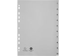 Register Exacompta 1710E, Format A4, Universallochung, Taben 1-10, B 225 x H 297 mm, Blauer Engel, Recycling-Kunststoff, grau