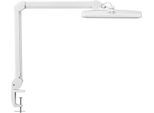 LED-Klemmleuchte MAULintro, Leistung 11 W, stufenlos dimmbar, um 360° drehbar, 920 lm, Klemmweite 63 mm, weiß