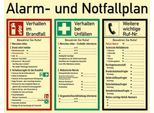 moedel Hinweisschild „Alarm- und Notfallplan“, 3-spaltig, EN ISO 7010, Leuchtklasse C, 160 mcd/m², L 480 x B 620 mm, Kunststoff, mehrfarbig