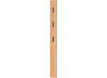 Garderobenpaneel, MDF melaminharzbeschichtet, 3 ausklappbare Haken, ca. B 150 x T 30 x H 1700 mm, Eiche