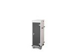 Laptopwagen mit Ladefunktion, 2-Punkt-Verriegelung, CH-Stecker, Feststellbremse, 10 Fächer, B 530 x T 1250 x H 500, anthrazit
