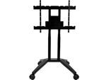 Rollstativ Legamaster moTion MS-12S, höhenverstellbar, Kabelfach, B 910 x T 690 x H 1470-2130 mm, schwarz