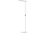 LED Stehleuchte Hansa Larimar, verstell- & drehbar, Energieeffizienzklasse E, 81 Lumen, 4000 K, H 1997 mm, weiß