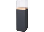 Präsentationssäule, 1 Fachboden, bis 30 kg, T 350 x H 1190 mm, Hirnholz-Eiche/Plexiglas, schwarz-matt