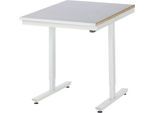 Rau Arbeitstisch Adlatus, elektrisch höhenverstellbar, 25 mm MDF-Platte, Stahlblechbelag, 150 kg, B 750 x T 1000 x H 720-1120 mm, silber/lichtgrau