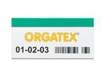 ORGATEX Magnet-Einsteckschilder Color, 60 x 100 mm, grün, 100 St.