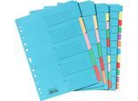 Farbiges Kartonregister, einzeln, DIN A4 Überbreite, 10 Fächer