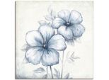 Wandbild ARTLAND "Blauer Mohn", weiss (farbe bild(er): weiß), B:50cm H:50cm T:1,8cm, Bilder, Wandbild, als Leinwandbild, Poster, Wandaufkleber in verschied. Grössen
