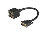 StarTech.com DVI-D auf 2x DVI-D 30cm Splitter Kabel