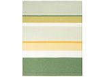 Plaid BIEDERLACK "Plaid Spring", ever stripe, B:130cm L:170cm, Baumwolle, Polyacryl, Wohndecken, im frischem Design