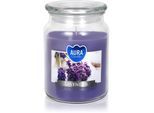 BISPOL Premium Line Lavender geurkaars 500 ml