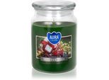 BISPOL Premium Line Winter Tree geurkaars 500 g