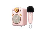 Divoom Fairy-OK Retro Mini Karaoke Speaker - Pink