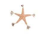 Trixie BE NORDIC starfish Jane plush/rope 32 cm