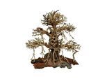 4FISH Tree roots Old Bonsai 20x12x20 cm