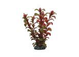 Dohse Rotala 16 cm