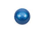 BOSU Balance Pods Balance trainer Blue